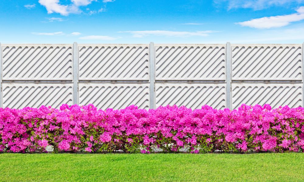 6 Stylish Ways To Update Your Backyard Fence