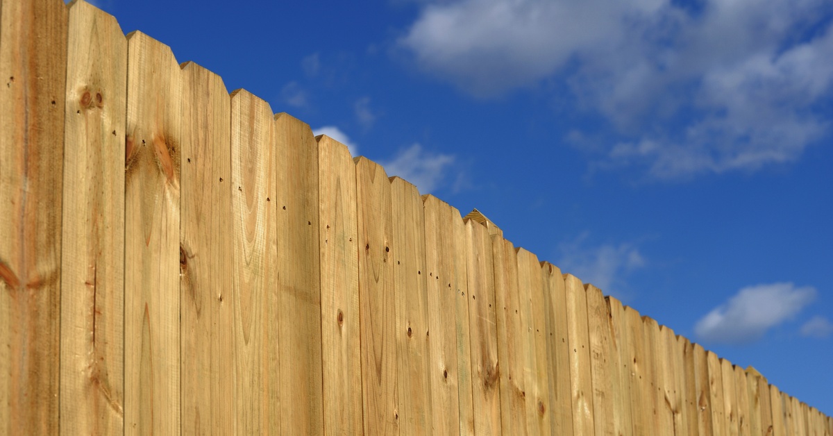 A close-up shows a solid, unstained wooden privacy fence with a blue sky and a wispy white cloud in the background.