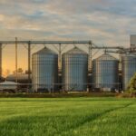 A farm contains a large green crop field and a grain storage facility with silver silos, under a golden, cloudy sky.