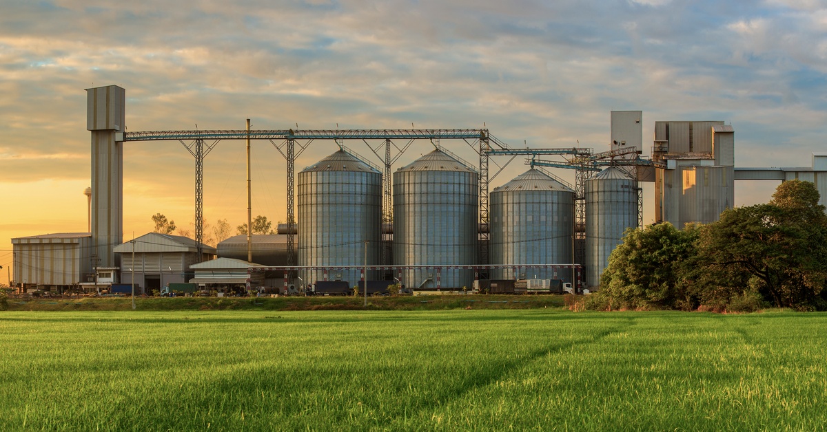 A farm contains a large green crop field and a grain storage facility with silver silos, under a golden, cloudy sky.