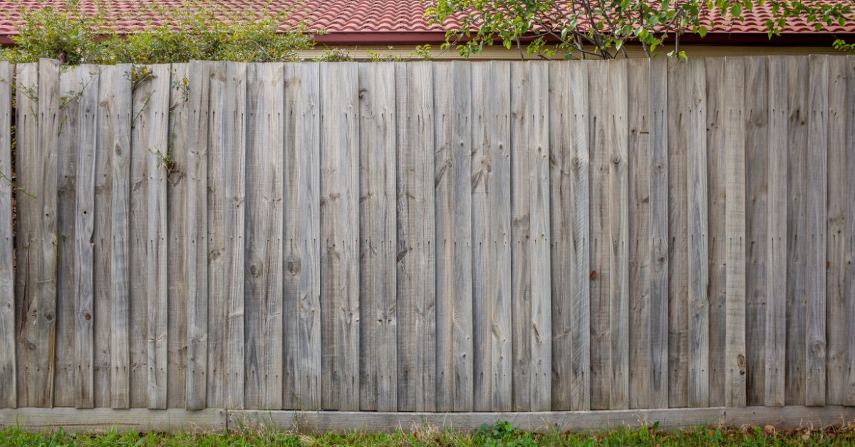 A leaning white picket fence with broken sections runs along a grassy yard beside overgrown plants and trees.